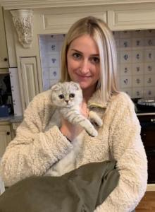 LUXURY SCOTTISH FOLDS - Scottish Fold Kitten For Sale - Grand Rapids, MI, US LUXURY SCOTTISH FOLDS - Scottish Fold Kitten For Sale - Grand Rapids, MI, US