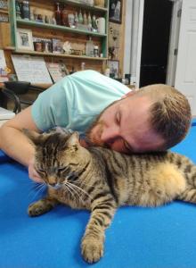 Meredith - Domestic Cat For Adoption - Mulberry, FL, US Meredith - Domestic Cat For Adoption - Mulberry, FL, US