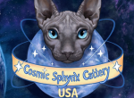 Cosmic Sphynx Cattery Chicago IL - Sphynx Cat For Sale - Lockport&comma; IL&comma; US