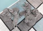 Petra and Jasper Litter - Russian Blue Cat For Sale - Hallsville&comma; MO&comma; US