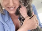 Black smoke tortie - Maine Coon Cat For Sale - Atlanta&comma; GA&comma; US