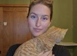 Red Bengal - Bengal Cat For Sale - Cedar Springs&comma; MI&comma; US