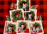 Mikuni Blue Male - Bengal Kitten For Sale - Rocklin&comma; CA&comma; US