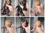 New mainecoon liter - Maine Coon Kitten For Sale - 