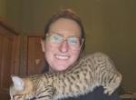 Bengal Kittens Vaccinated Payment Plans Available - Bengal Kitten For Sale - Cedar Springs&comma; MI&comma; US