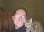 Bengal Kittens Vaccinated Payment Plans Available - Bengal Kitten For Sale - Cedar Springs&comma; MI&comma; US