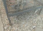 Baby - Bengal Kitten For Sale - Mira Loma&comma; CA&comma; US