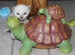 Andromeda - Siamese Kitten For Sale - Anza&comma; CA&comma; US