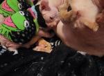 Ophelia - Sphynx Kitten For Sale - Hicksville&comma; OH&comma; US