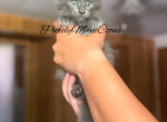 Blue Female Maine Coon Kitten - Maine Coon Kitten For Sale - Conyers&comma; GA&comma; US