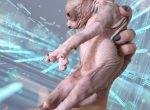Nacho the Sphynx Kitten - Sphynx Kitten For Sale - Oklahoma City&comma; OK&comma; US