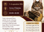 Join the FIFe International Cat Show in Europe - Maine Coon Kitten For Sale - DC&comma; US