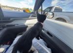 Gala Balla - Domestic Kitten For Sale - Oakland&comma; CA&comma; US