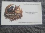 Majestic Raven Maine Coones - Maine Coon Kitten For Sale - Sidney&comma; OH&comma; US