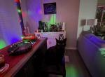 Ozzie - Domestic Cat For Adoption - Tampa&comma; FL&comma; US