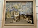 Markisa - Scottish Fold Cat For Sale/Retired Breeding - 