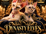Dynasty Elves Devon Rex - Devon Rex Kitten For Sale - Oak Hills&comma; CA&comma; US