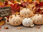 Baby Persian blessings - Persian Kitten For Sale - PA&comma; US