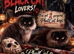 Black boy - Persian Kitten For Sale - Clay&comma; PA&comma; US