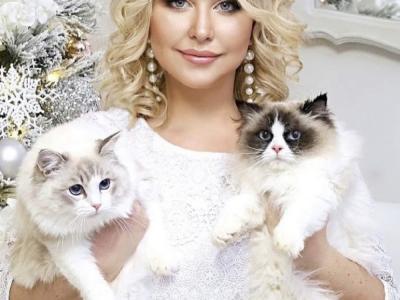 Anna - Cat Breeder - Falls Church&comma; VA&comma; US