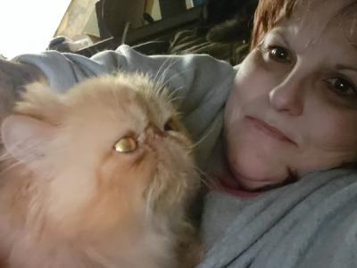 Anna - Cat Breeder - PA&comma; US