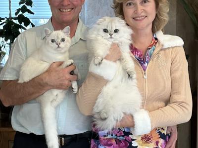 Inna - Cat Breeder - MD&comma; US