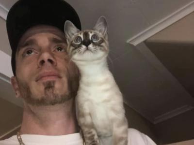 Jonathan - Cat Breeder - Putnam&comma; CT&comma; US