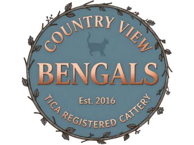 Country View Bengals - Cat Breeder - Needmore&comma; PA&comma; US