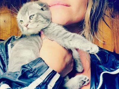 Tasha G - Cat Breeder - Snohomish&comma; WA&comma; US