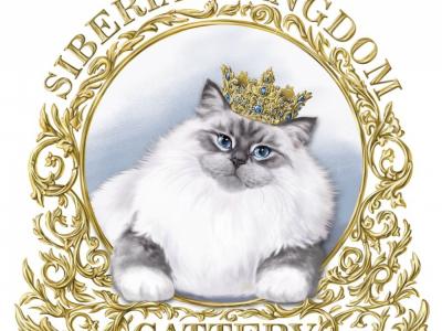 Ali Hussein - Cat Breeder - MI, US Ali Hussein - Cat Breeder - MI, US