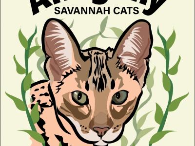 Allegany Savannah Cats - Cat Breeder - Warren&comma; PA&comma; US