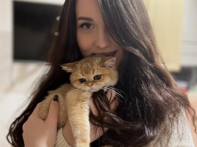 Lola - Cat Breeder - NY, US Lola - Cat Breeder - NY, US