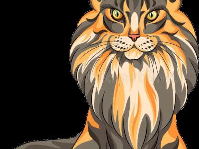 Wes - Cat Breeder - Cookeville&comma; TN&comma; US