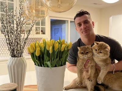 Royal Britz - Cat Breeder - Vancouver&comma; WA&comma; US