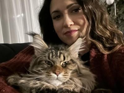 Bella - Cat Breeder - Jacksonville&comma; FL&comma; US