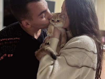 Lola - Cat Breeder - Brooklyn, NY, US Lola - Cat Breeder - Brooklyn, NY, US