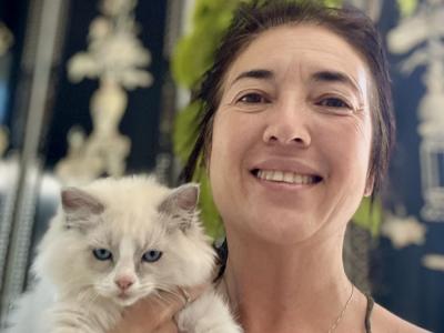 Moonkitten Ragdolls - Cat Breeder - Ojai&comma; CA&comma; US