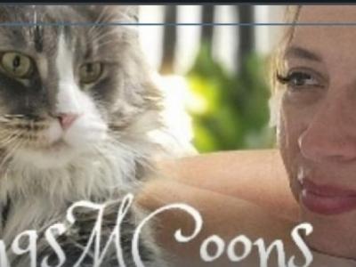 Melissa - Cat Breeder - Elk Grove&comma; CA&comma; US