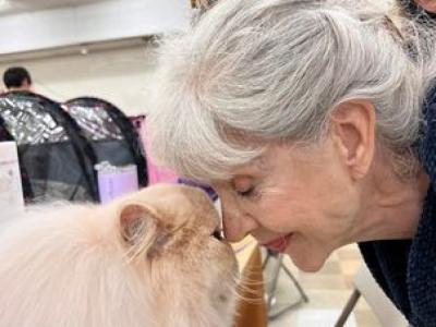 Kate Preston - Cat Breeder - Union&comma; NJ&comma; US