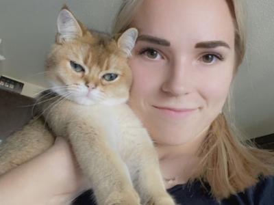 Maria - Cat Breeder - Shakopee&comma; MN&comma; US