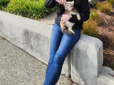 Crystal Lee - Cat Breeder - Walla Walla&comma; WA&comma; US