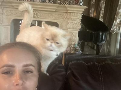 Tanya - Cat Breeder - Lghthse Point&comma; FL&comma; US