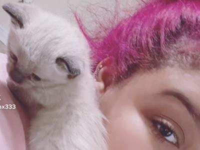 Kyara - Cat Breeder - Worcester&comma; MA&comma; US