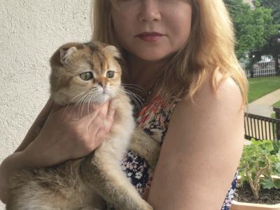 Julia - Cat Breeder - Philadelphia&comma; PA&comma; US