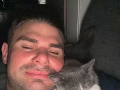 Nick - Cat Breeder - Chicago, IL, US Nick - Cat Breeder - Chicago, IL, US
