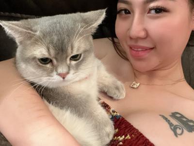 Uyen le - Cat Breeder - Houston, TX, US Uyen le - Cat Breeder - Houston, TX, US