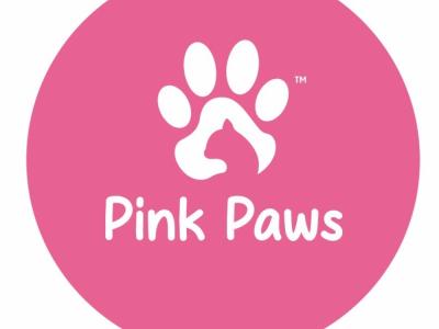 Pink Paws - Cat Breeder - Jacksonville&comma; FL&comma; US