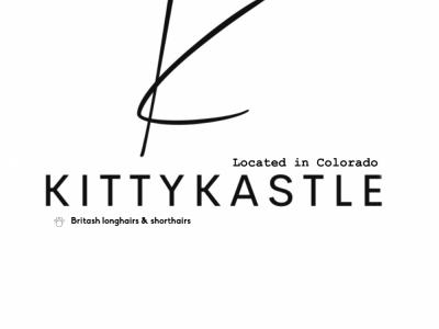 Elena - Cat Breeder - Englewood&comma; CO&comma; US