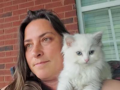 Jennifer Aaron - Cat Breeder - Knoxville&comma; TN&comma; US