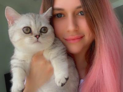 Valeriya Kotsun Kittens - Cat Breeder - Houston&comma; TX&comma; US